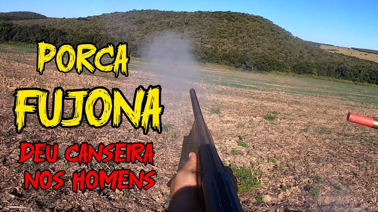 Muito toque e acuação e um baile do javali