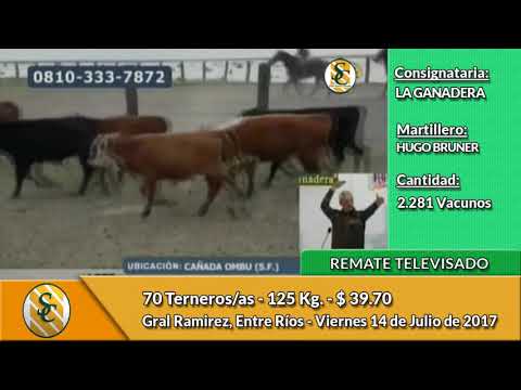 14-07-17 - Remate Televisado de La Ganadera - Gral  Ramirez