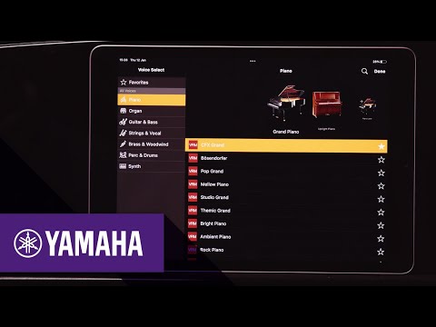 Yamaha Discovery - CSP Voices | Yamaha Music