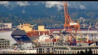 Unique Container Ship Spins Off Dock | Tugs, Seaplanes & Low Clouds| MSC FLORA Departure Vancouver