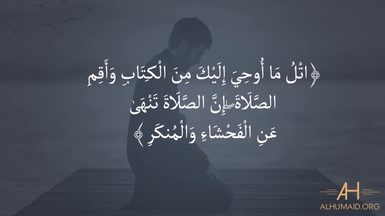 خلاصة المنظومة الفكرية الإسلامية