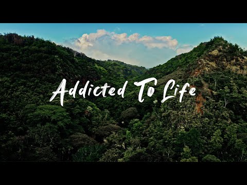 Kolohe Kai - Addicted to Life (Official Music Video)