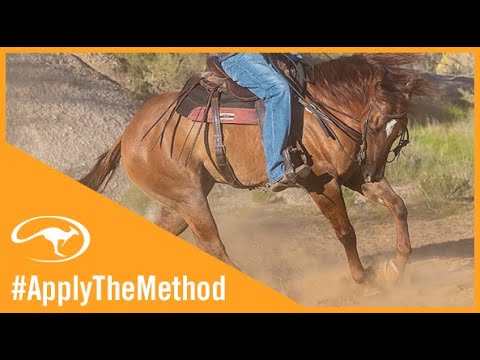 Clinton Anderson: Use Turnarounds to Engage Your Horse on the Trail - Downunder Horsemanship