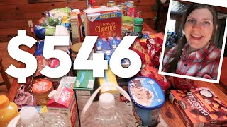 Aldi & Walmart Grocery Haul + Meal Ideas