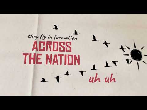 Birds on a wire (Lyric video) video thumbnail