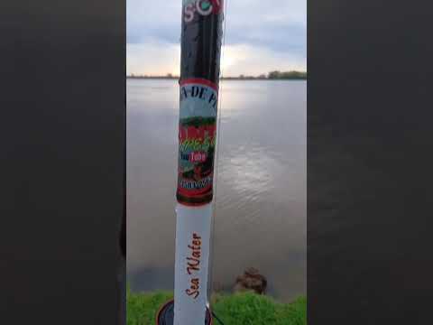 siempre ponte en pesca amigos suscriptores pescando en Ibicuy entre rios #pesca#amistad
