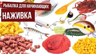 Ссылка