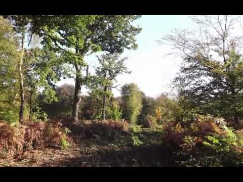 Kirby Quay, The Great Wood and the Arran Boat Song.