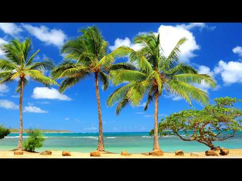 Romantic Music With Beautiful Beach Scenes