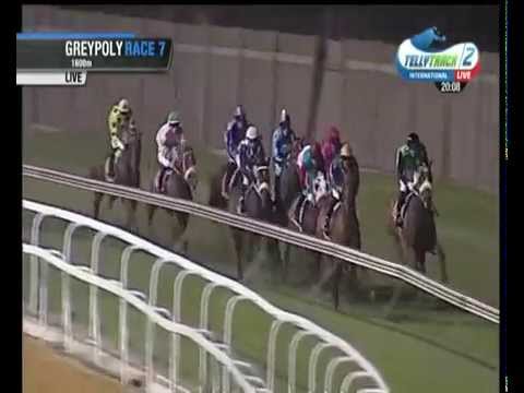 2015.01.02 Flamboyant Stakes (RSA) - Same Jurisdiction