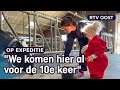 Slapen tussen de koeien bij boer Frans | RTV Oost