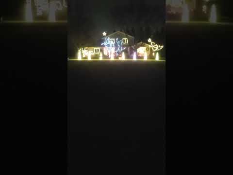 LOLOL Lots Of Lights On Lutz -