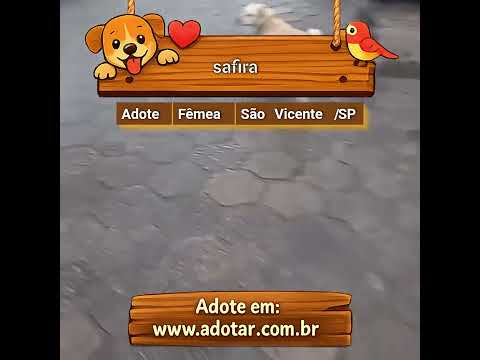 Vídeo de safira