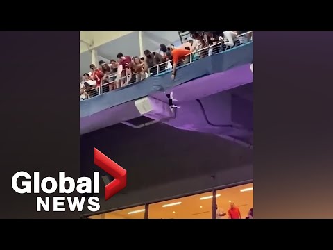 Cat saved by fans with American flag after dramatic 50-foot fall at football stadium