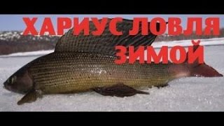 Мормышка для ловли хариуса зимой