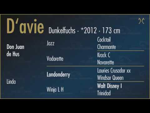 D'avie by Don Juan de Hus/Londonderry