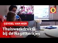 Thuiswerken met 8 kinderen: deze familie doet het | Omroep Brabant