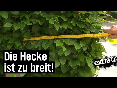 Realer Irrsinn: Zu breite Hecke in Ahrensburg | extra 3 | NDR