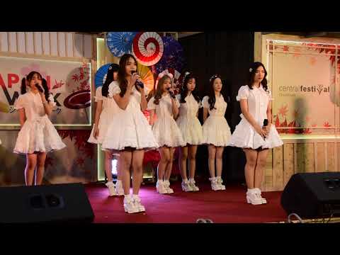 DAISY DAISY - Only (Special Version) [Fancam Daisy Daisy]