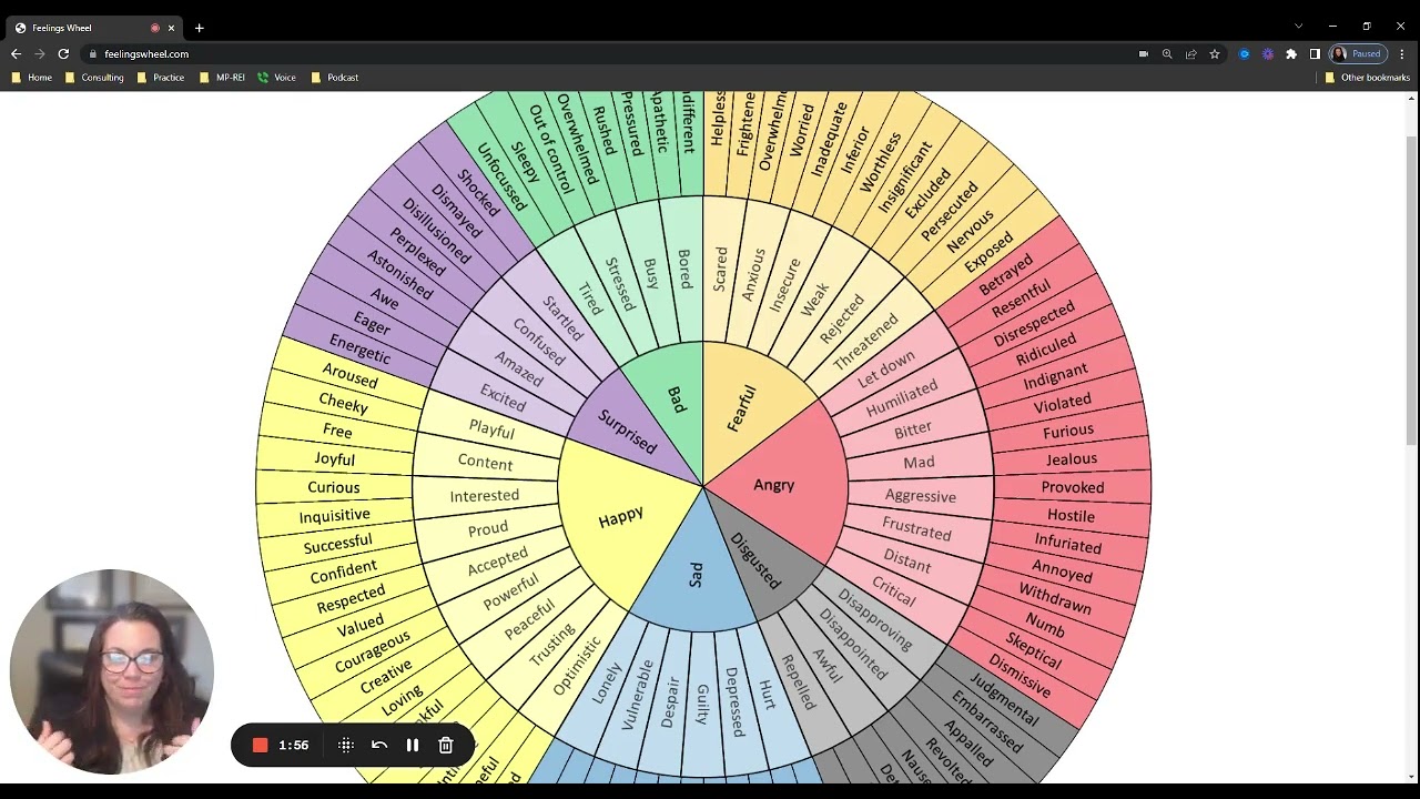 Introduction to the Feelings Wheel