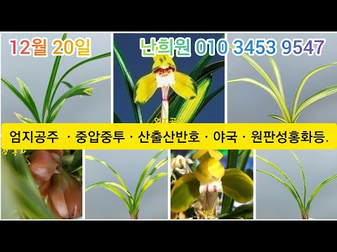 유튜브 썸네일