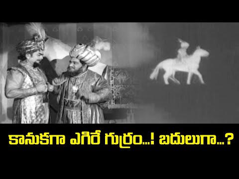 కానుకగా ఎగిరే గుర్రం...!బదులుగా.... ? | Baghdad Gaja Donga | N. T. Rama Rao, Jayalalithaa |ETV