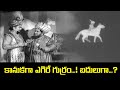 కానుకగా ఎగిరే గుర్రం బదులుగా Baghdad Gaja Donga N 