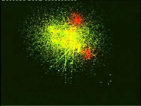 Tchaikovsky - Dance of the Shepherd Boys (music visualization by Božidar Svetek)