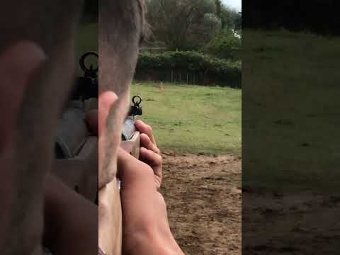 Tiro a 70 metri con carabina diana ad aria compressa 4,5 libera vendita