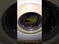 Beko 2313cy Washing Machine