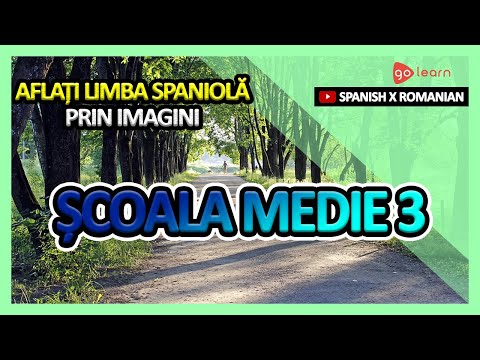 Aflați Limba Spaniolă Prin Imagini |Vocabularul Limba Spaniolă Școala Medie 3 | Golearn