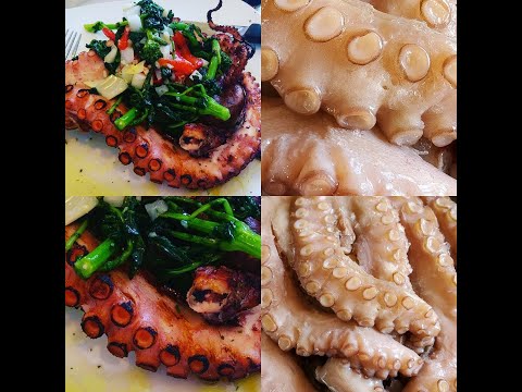 How to cook Polvo/Octopus Part 1 Tia Maria's Blog