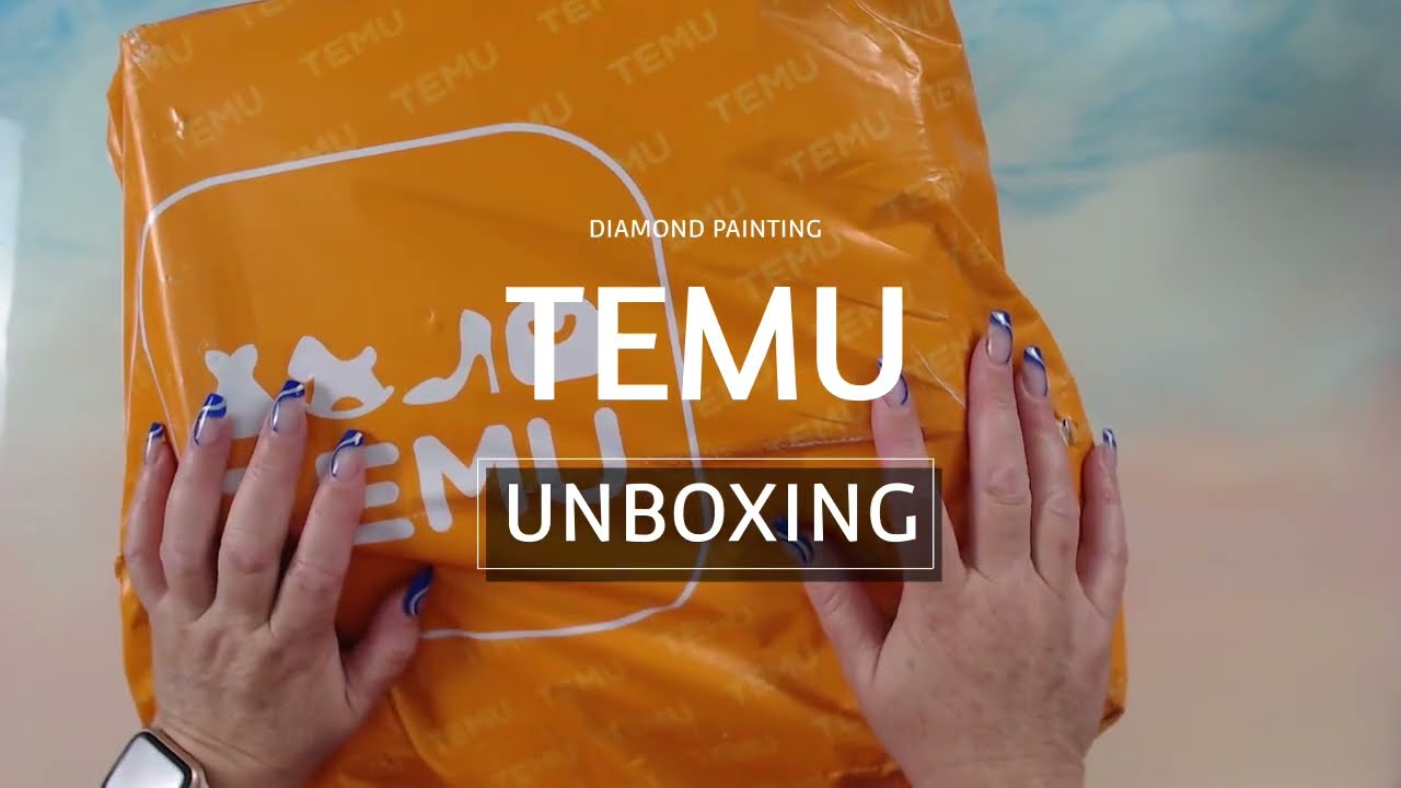 002 TEMU Craft Haul +