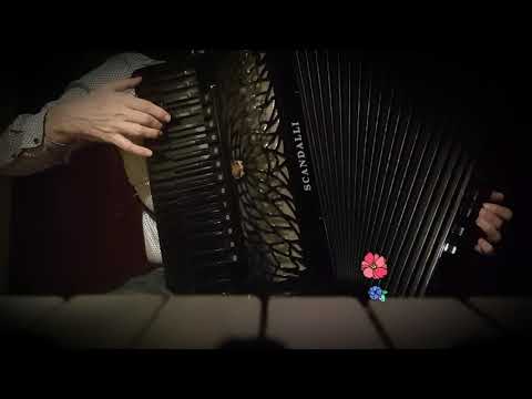 Edo Krilic, *Već odavno...*