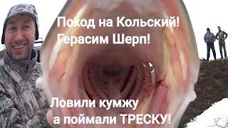 Герасим шерп рыбалка на кольском полуострове
