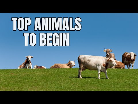 , title : 'Homesteading 101: Top Beginner Animals for a Successful Small Farm'