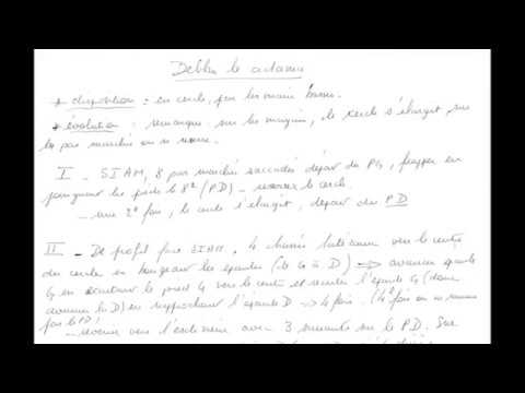 CHORÉGRAPHIE Debka Le Adama FDM50