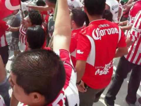 "comando rojiblanco Necaxa en Morelos vs pumas" Barra: Comando Rojiblanco &bull; Club: Club Necaxa