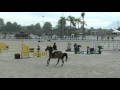 GRUPOPROM ABANDERADO OLIVA NOVA 2015 1 35 JUMP OFF