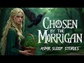 The Celtic Tale Of The Morrigan An Enchanted Bedtime Story Irish Mythology