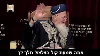 ריח של בשר - מרן הרב מרדכי אליהו (הרב מרדכי אליהו זצ"ל) - התמונה מוצגת ישירות מתוך אתר האינטרנט יוטיוב. זכויות היוצרים בתמונה שייכות ליוצרה. קישור קרדיט למקור התוכן נמצא בתוך דף הסרטון