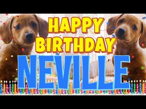 Happy Birthday Neville! ( Funny Talking Dogs ) What Is Free On My Birthday