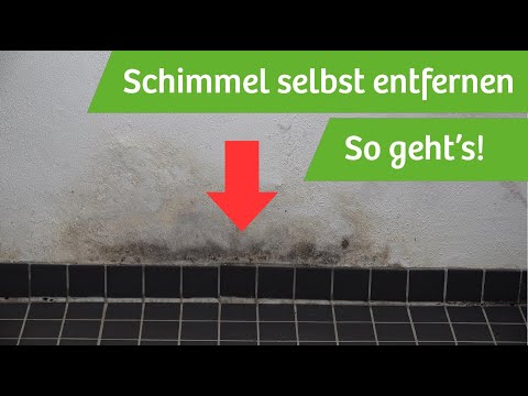 Removing mold from the wall yourself