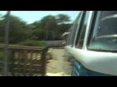 Intro:Turtle & Woodstock