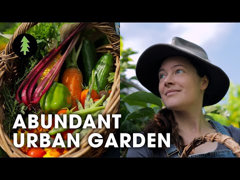 Inspiring Woman Growing a Huge Amount of Food in Her City Permaculture Garden