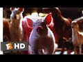 Babe: Pig in the City (1998) - Babe Saves the Dog Scene (4/10) | Movieclips