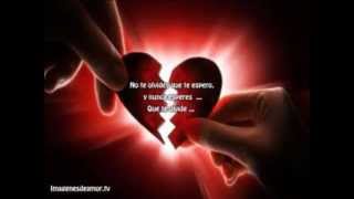 cuando vuelvas tu brindys y los acosta