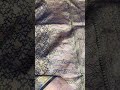 Silk Tanchoi Saree