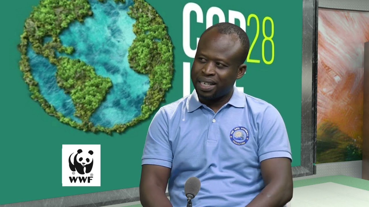 Climate Action & Sustainability at COP28 | Abel Musumali Discusses Road to Change