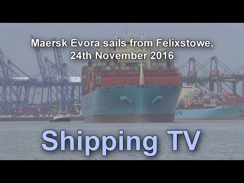 Maersk Evora sailing from Felixstowe, 25 November 2016
